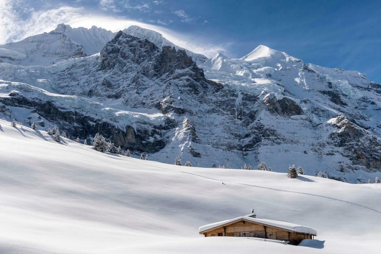 O 68 Haus Bel Air Appartement Wengen Buitenkant foto
