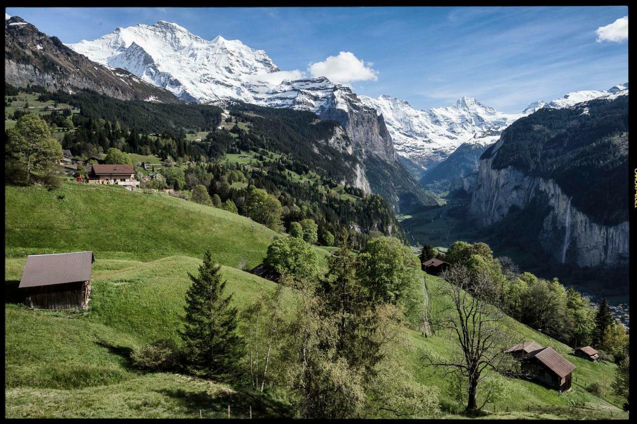 O 68 Haus Bel Air Appartement Wengen Buitenkant foto