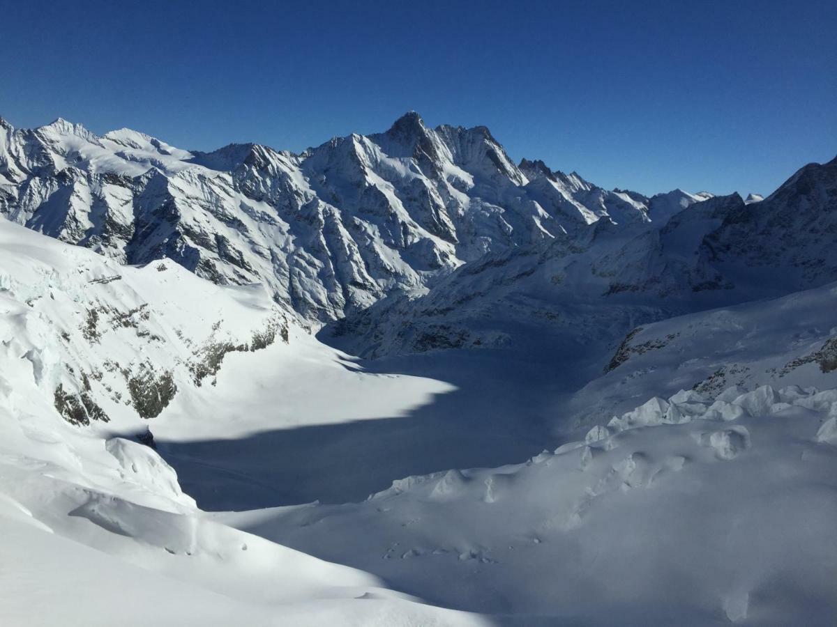 O 68 Haus Bel Air Appartement Wengen Buitenkant foto